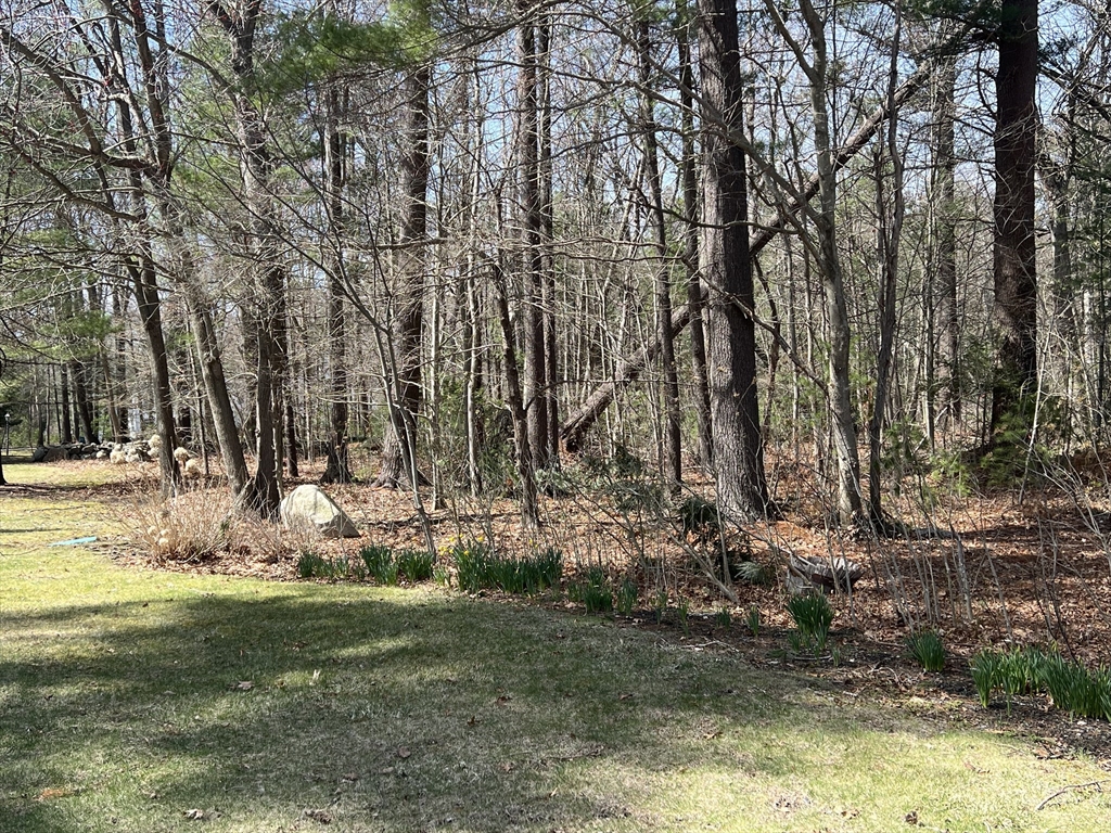 Norwell, Massachusetts, 02061, United States, ,Land,For Sale,1759202