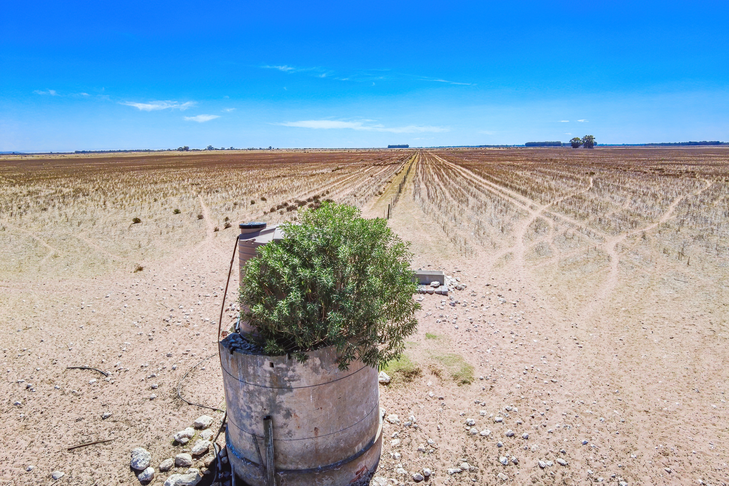  81/4 Brakfontein farm - 物件實景