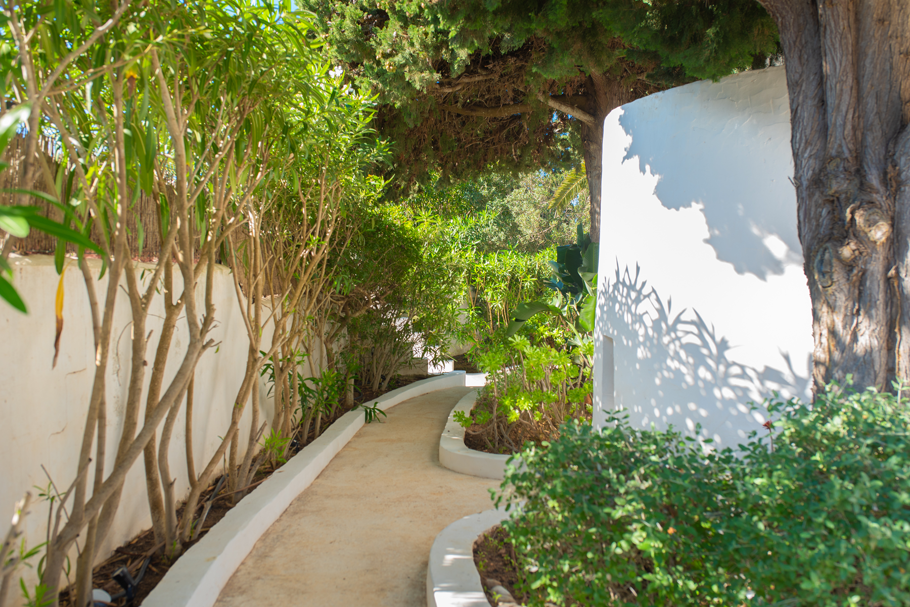  Ibizan Villa in Cala Jondal, Ibiza - 物件實景