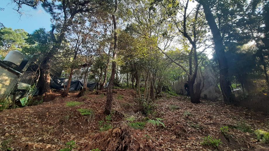 Valle de Bravo, Estado de méxico, 51200, Mexico, 1 Bedroom Bedrooms, ,Residential,For Sale,1721509