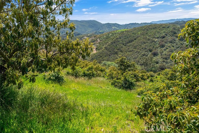 Temecula, California, 92590, United States, ,Land,For Sale,1981678