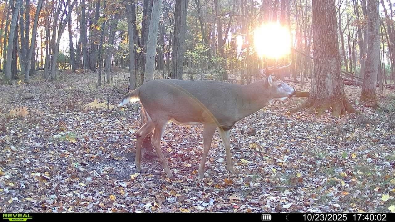 Tomah, Wisconsin, 54660, United States, 3 Bedrooms Bedrooms, ,2 BathroomsBathrooms,Residential,For Sale,1981565