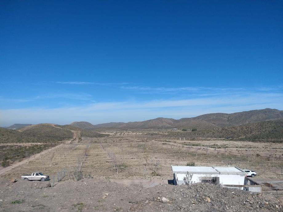 KM 3 CARRETERA PARRAS A GENERAL CEPEDA, Parras, Coahuila de Zaragoza, 27987, Mexico, 1 Bedroom Bedrooms, ,Residential,For Sale,KM 3 CARRETERA PARRAS A GENERAL CEPEDA,1472261