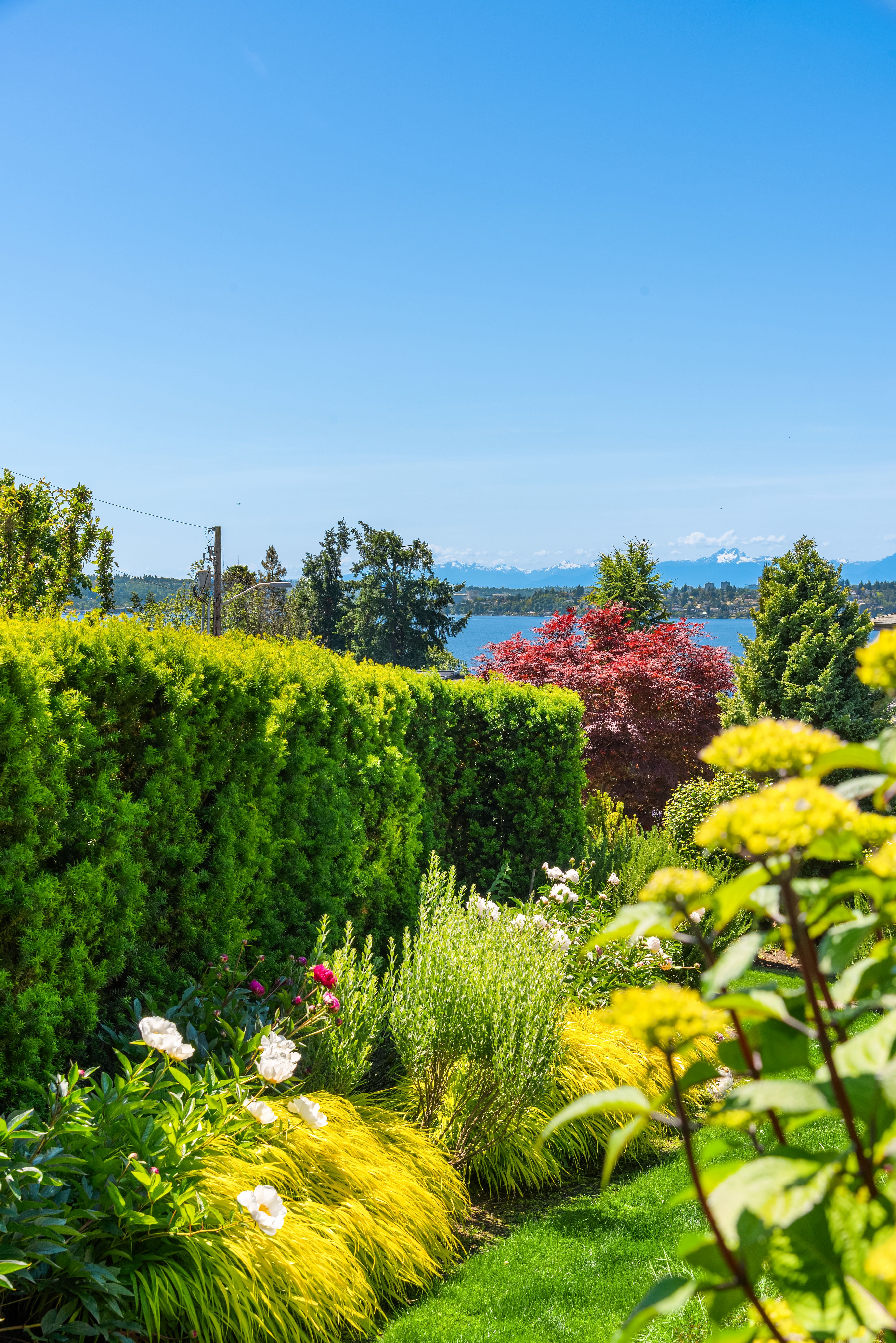  10410 NE 58th St, Kirkland, WA 98033 - 物件實景