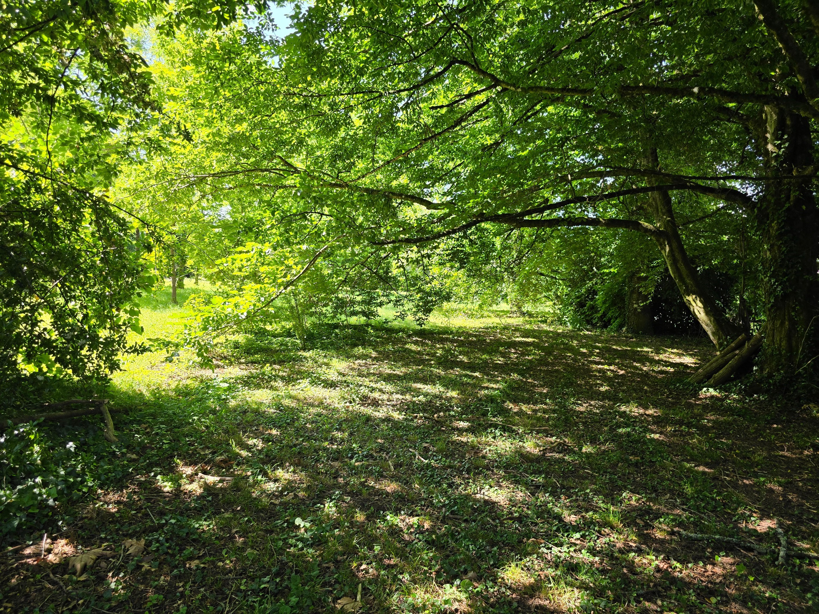  Masterful 500m² Residence with Park and Outbuilding in the Heart of the Green P… - 物件實景