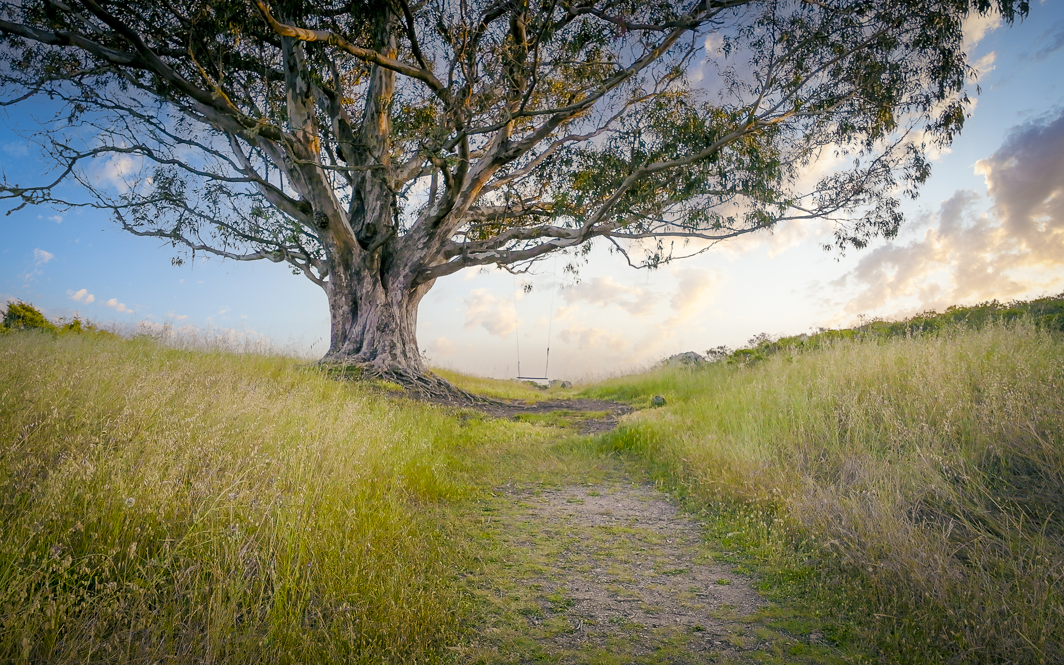  Refined Sensibility in Stinson Beach - 物件實景