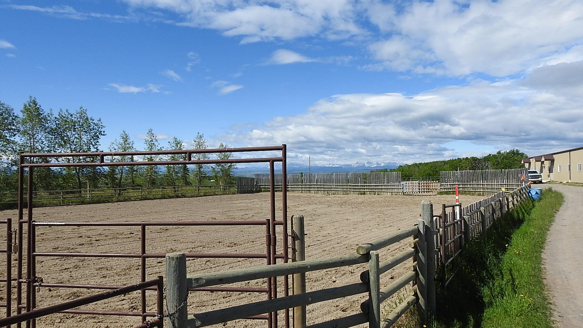 RURAL FOOTHILLS COUNTY, Alberta, T1S 4A9, CA, 3 Bedrooms Bedrooms, ,5 BathroomsBathrooms,Residential,For Sale,1838193