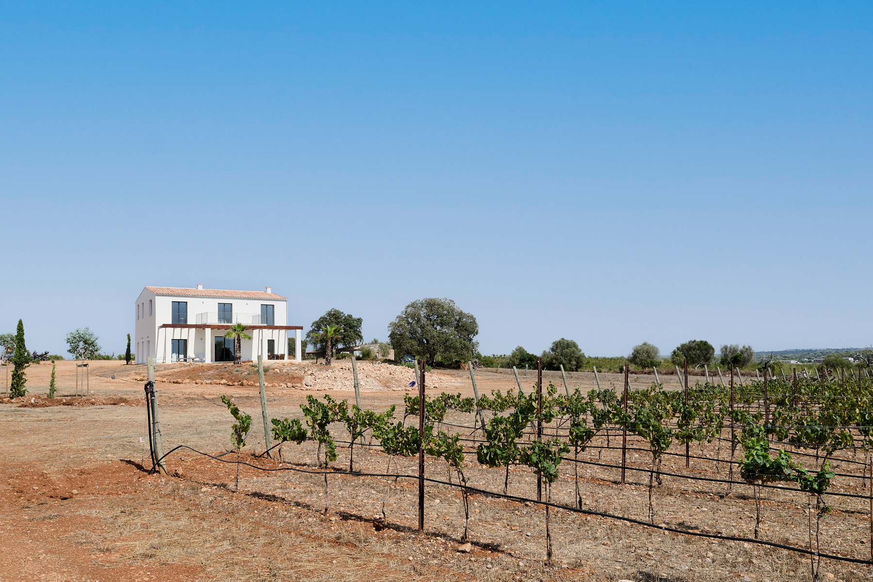  Contemporary estate with guest apartment and vineyard in Inca - 物件實景