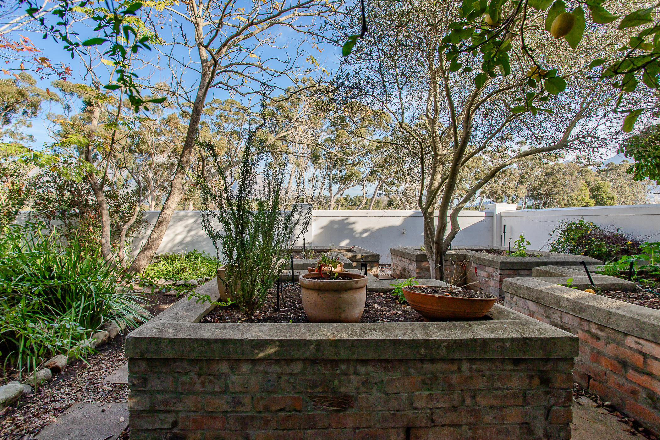 Timeless Cape Dutch Elegance in Delta Crest Country Estate, Franschhoek - 物件實景