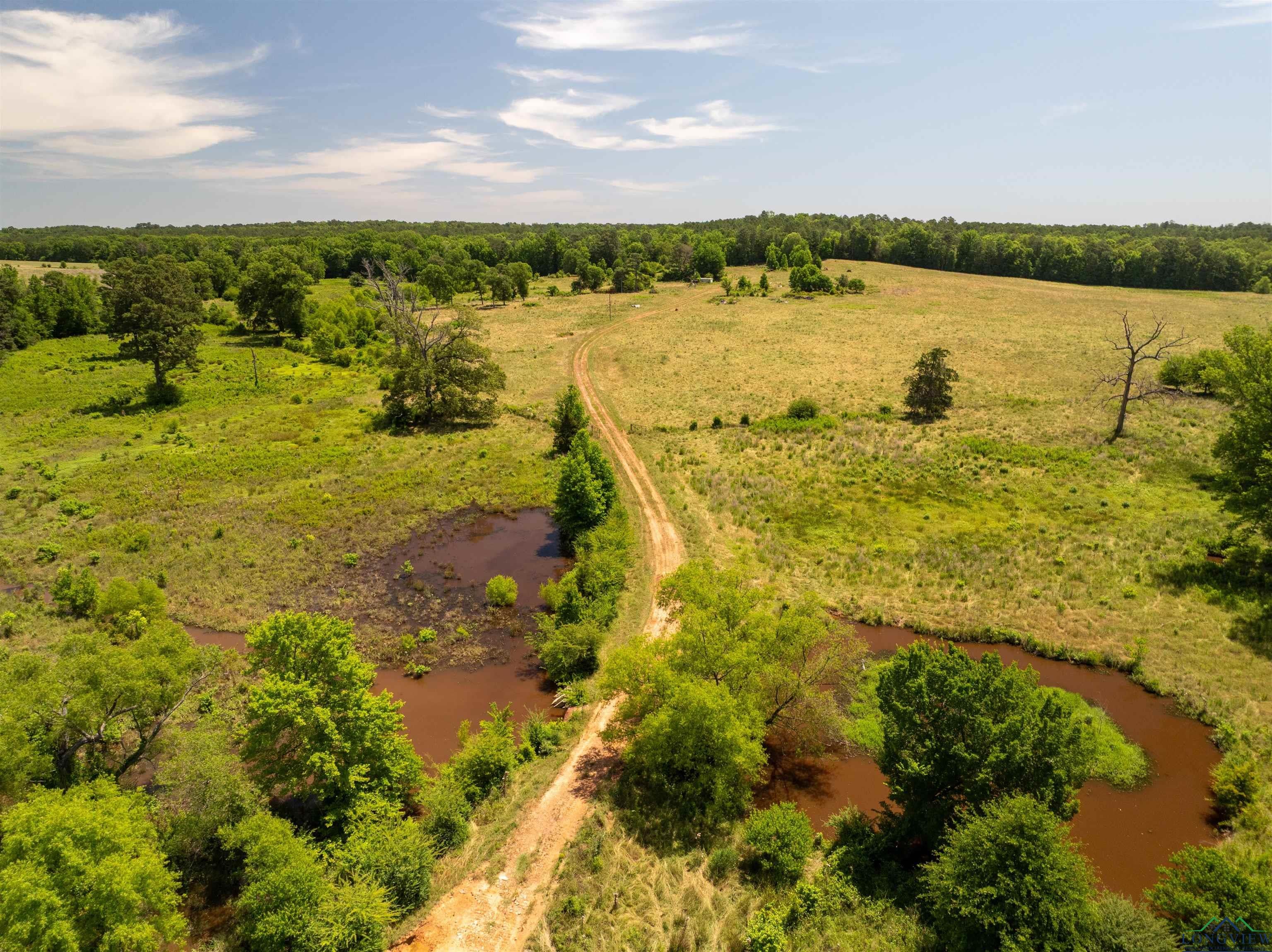 7557 FM 248, Lodi, Texas, 75564, United States, ,Residential,For Sale,7557 FM 248,1614560