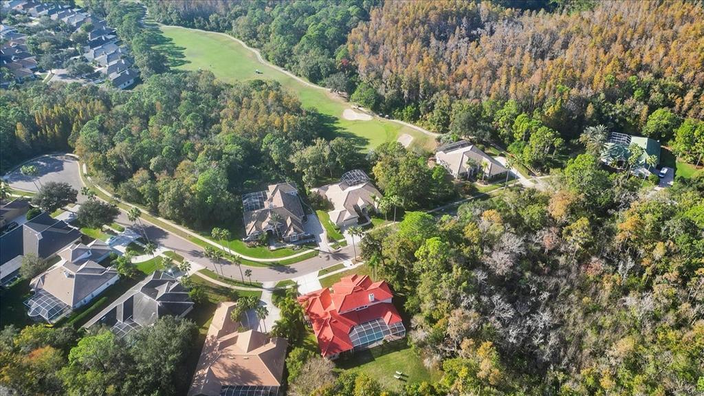 Tampa, Florida, 33626, United States, 4 Bedrooms Bedrooms, ,3 BathroomsBathrooms,Residential,For Sale,2002942