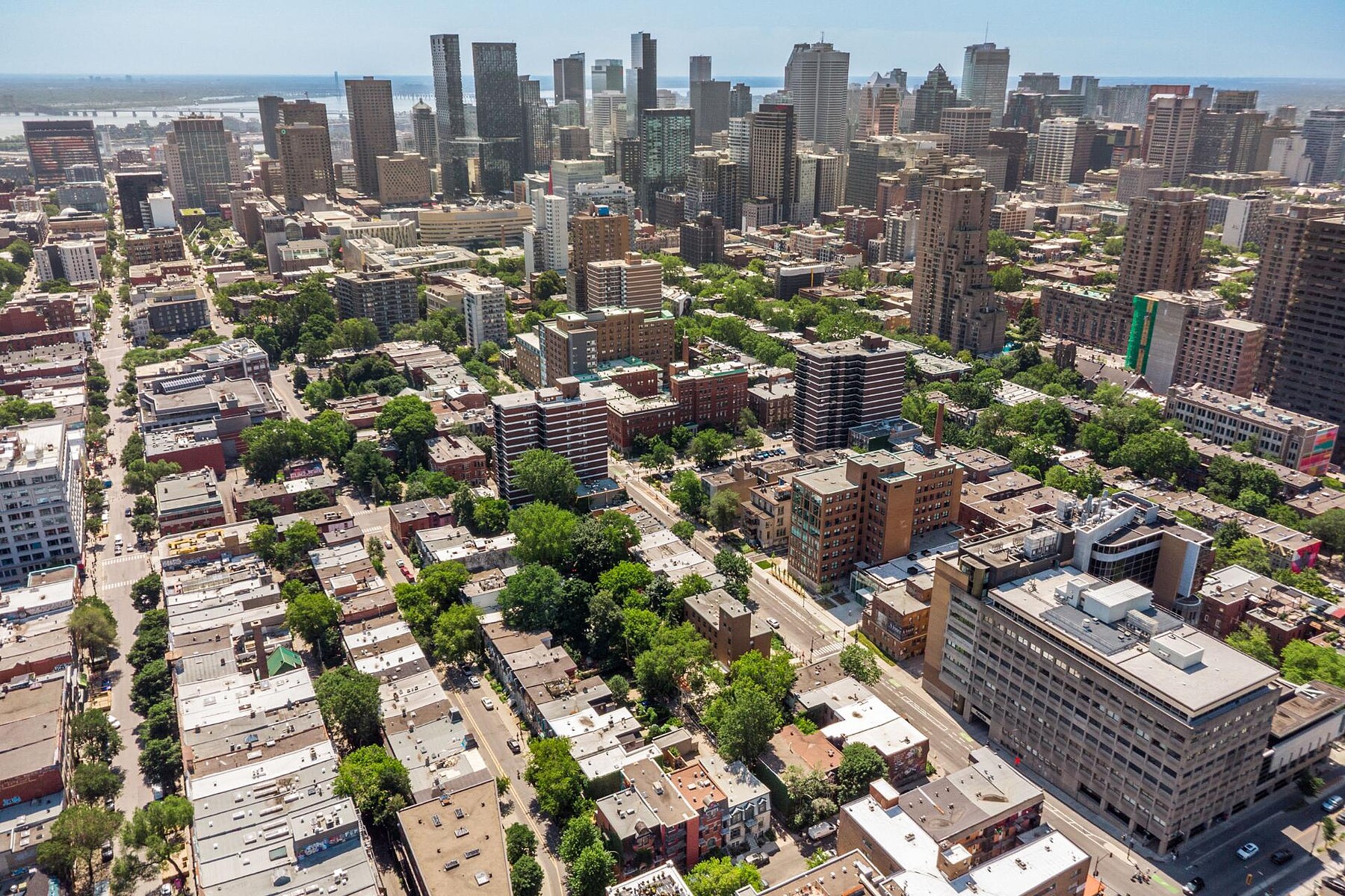 Le Plateau-Mont-Royal, Montréal - 物件實景
