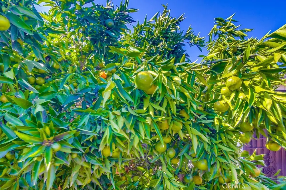 San Ysidro, California, 92173, United States, 3 Bedrooms Bedrooms, ,2 BathroomsBathrooms,Residential,For Sale,1982228