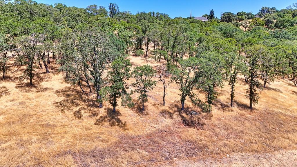 El Dorado Hills, California, 95762, United States, ,Land,For Sale,1874458