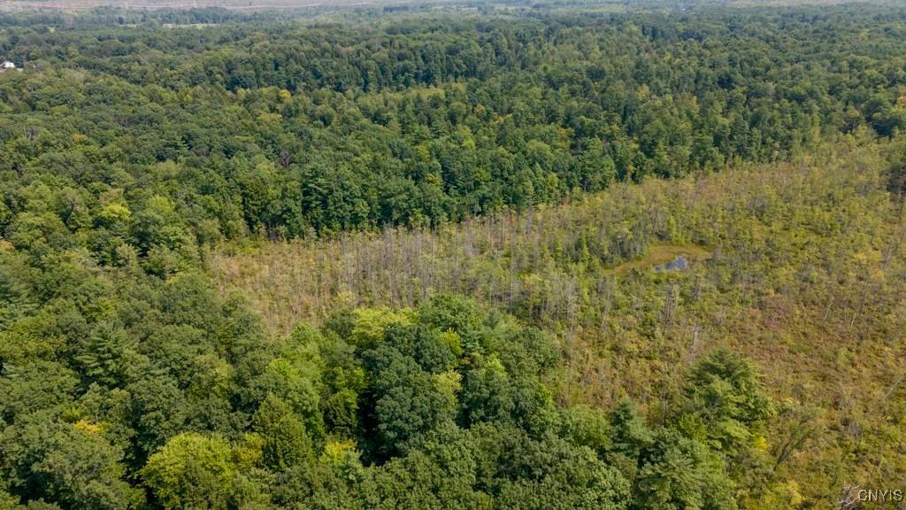 00 Cr-12, Pennellville, New York, 13132, United States, ,Land,For Sale,00 Cr-12,1621343