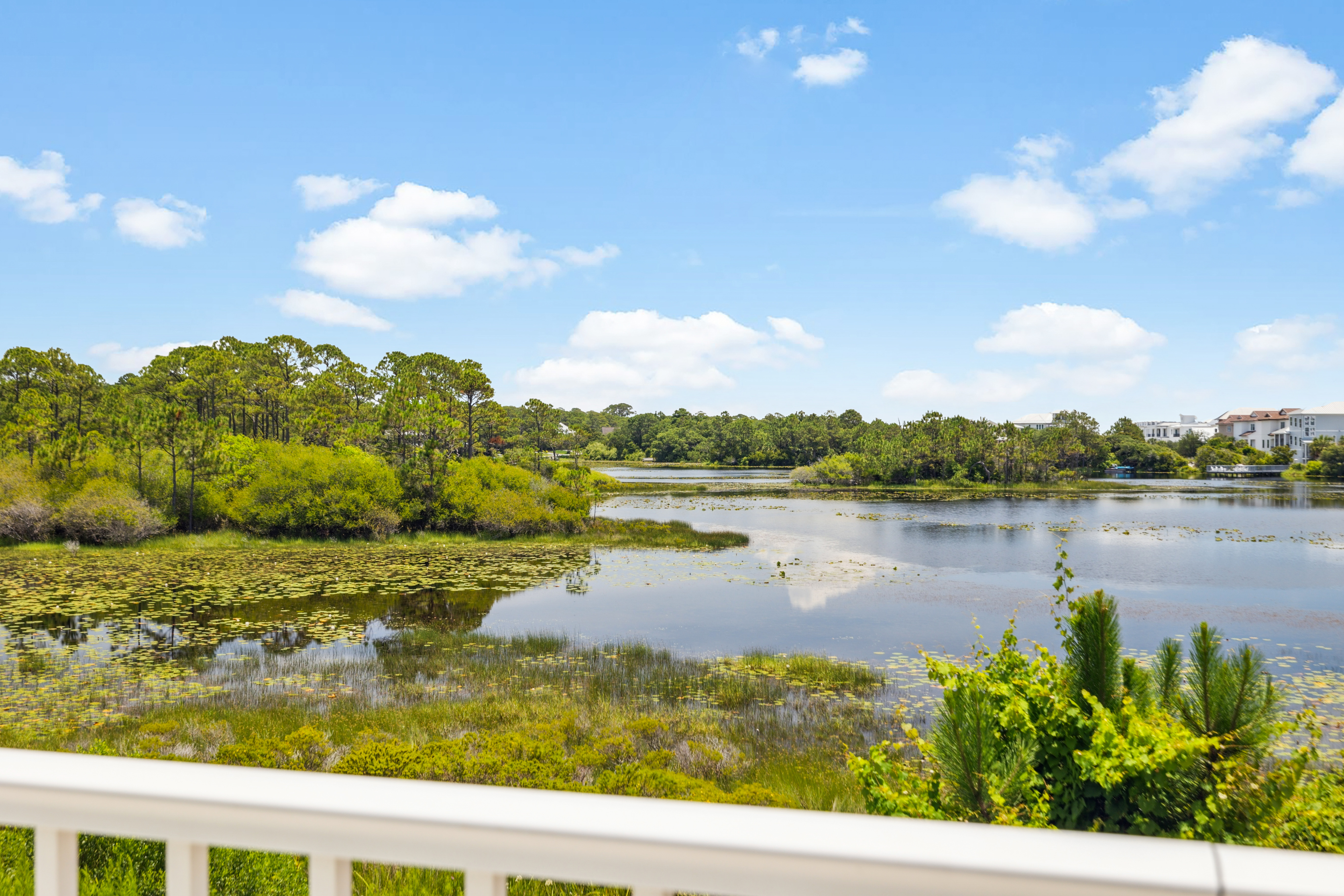  Enchanting Gulf-Side Home Curated For Comfort And Convenience - 物件實景