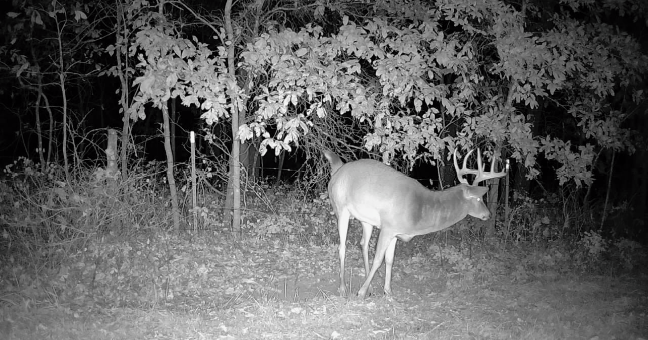 Kirksville, Missouri, 63501, United States, ,Land,For Sale,2006170