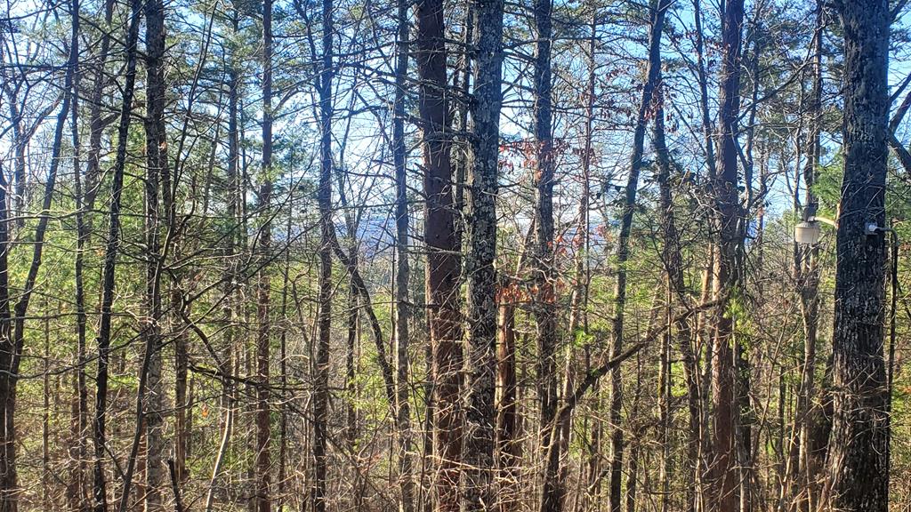 Reliance, Tennessee, 37369, United States, 3 Bedrooms Bedrooms, ,2 BathroomsBathrooms,Residential,For Sale,1858903
