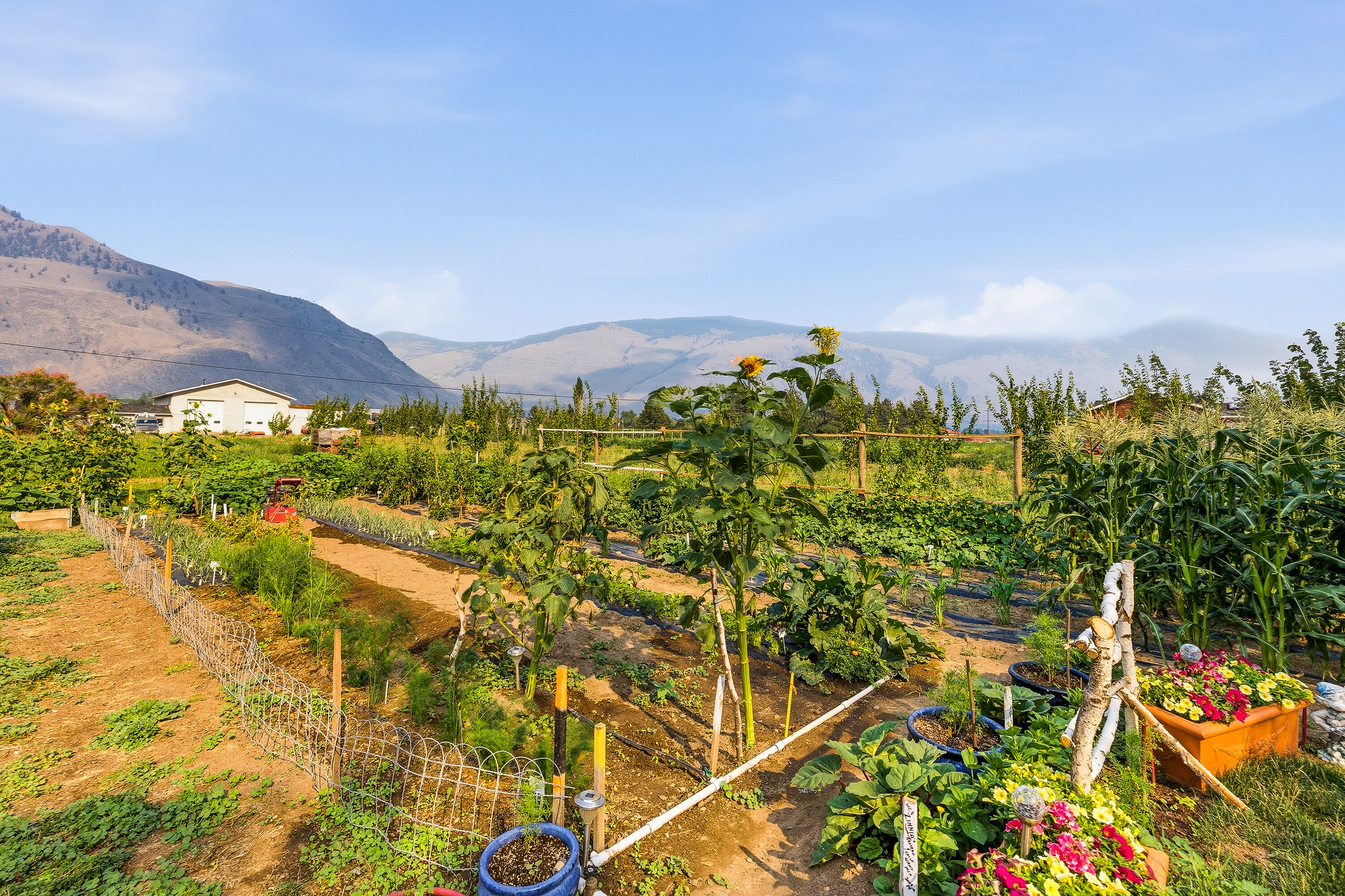  Home on an Organic Farm - 物件實景