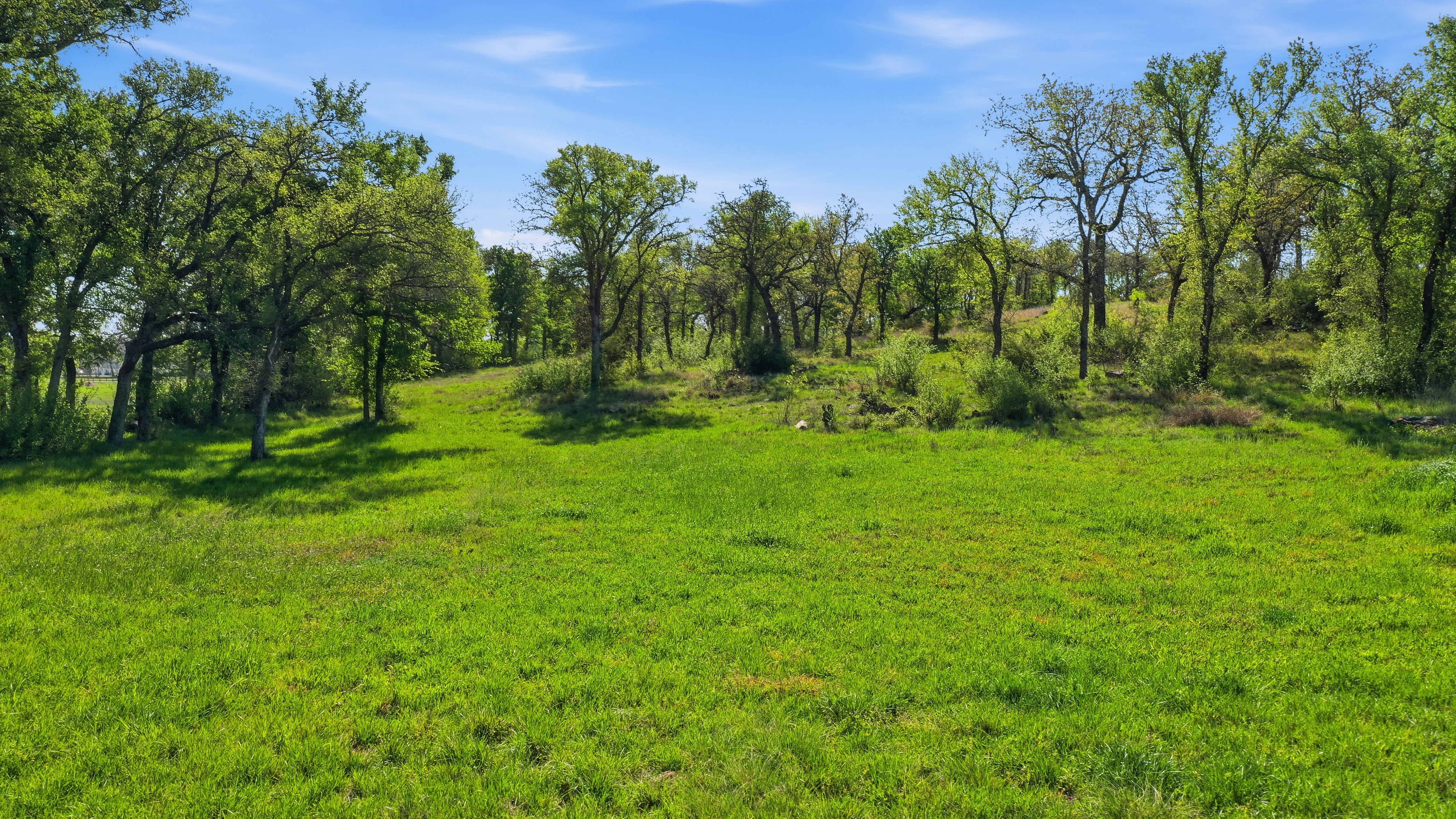  Space for Barns, Workshops, and Big Texas Dreams - 物件實景