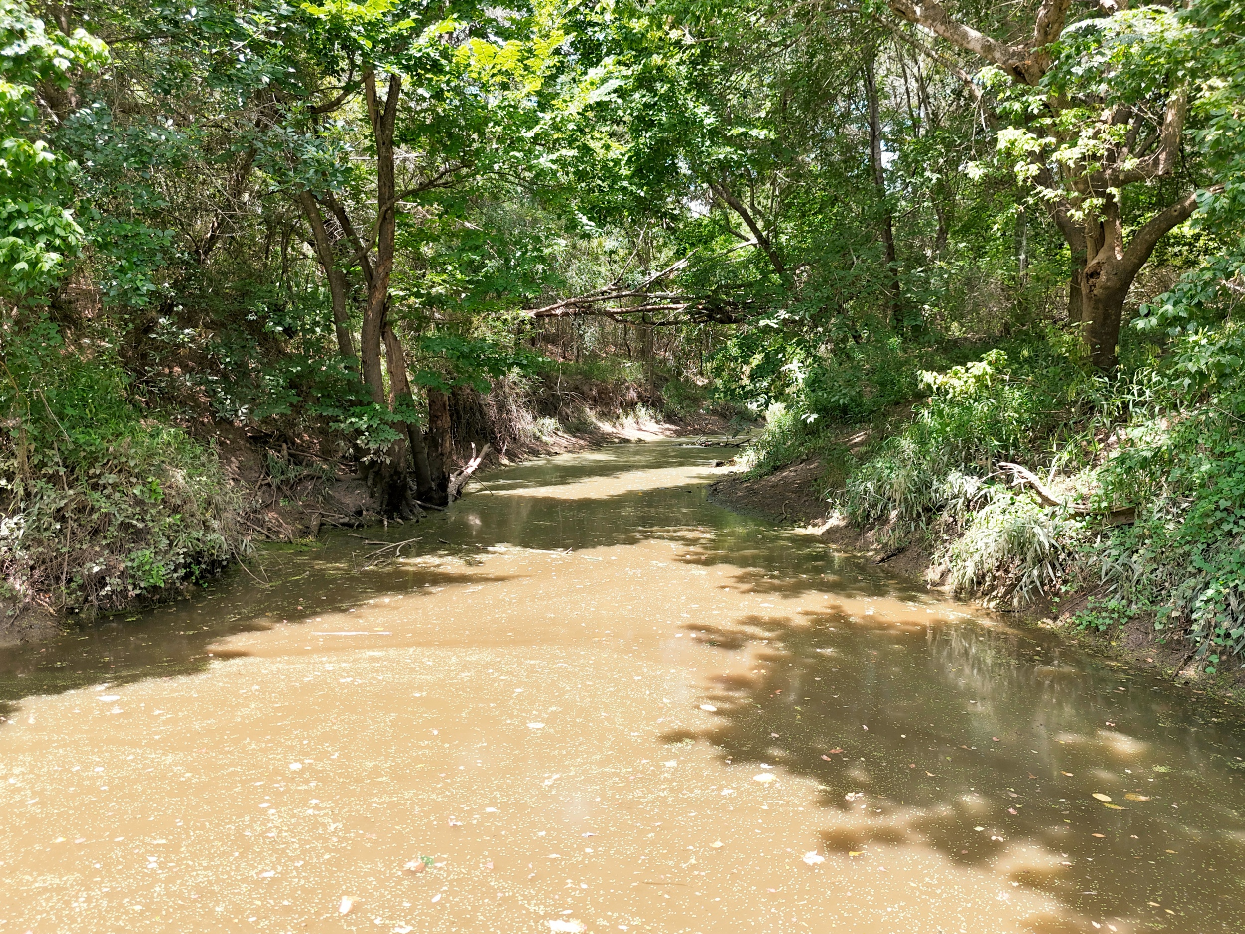  Bar Nothing Ranch, Fayette County - 物件實景