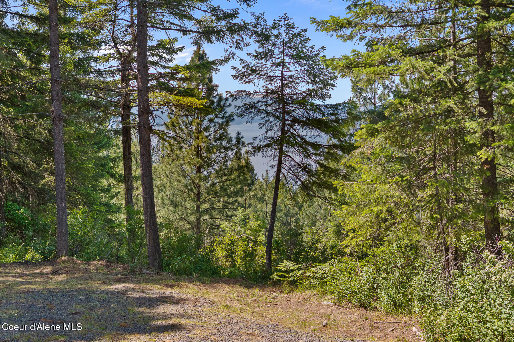 Coeur d'Alene, Idaho, 83814, United States, 3 Bedrooms Bedrooms, ,2 BathroomsBathrooms,Residential,For Sale,2049442
