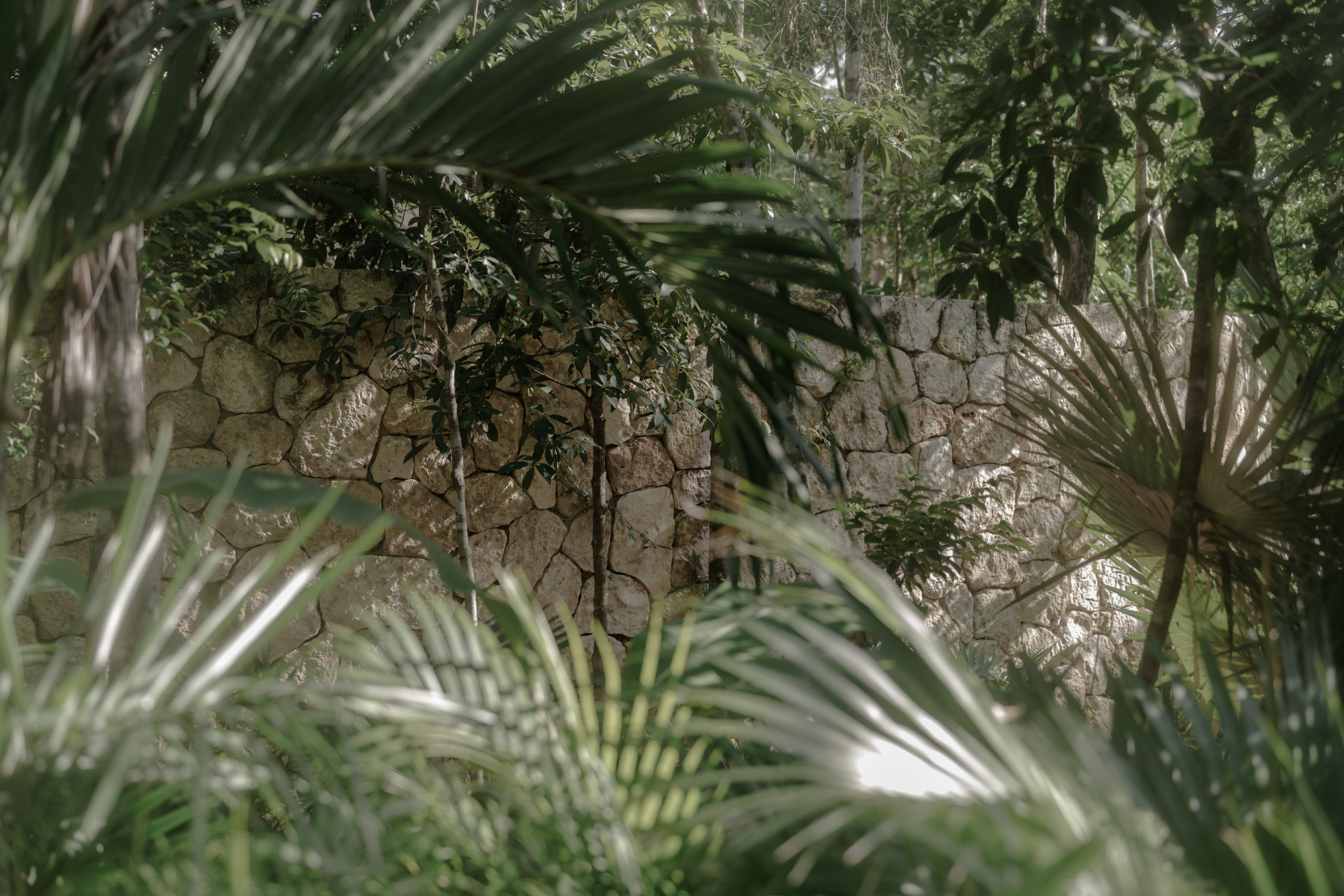  ECO JUNGLE SUSTAINABLE CONDOS - 物件實景