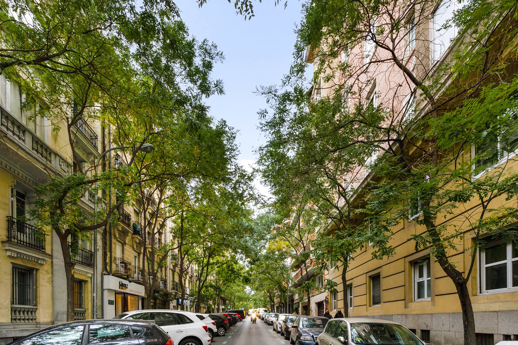  High-Performance Residential Asset - 物件實景