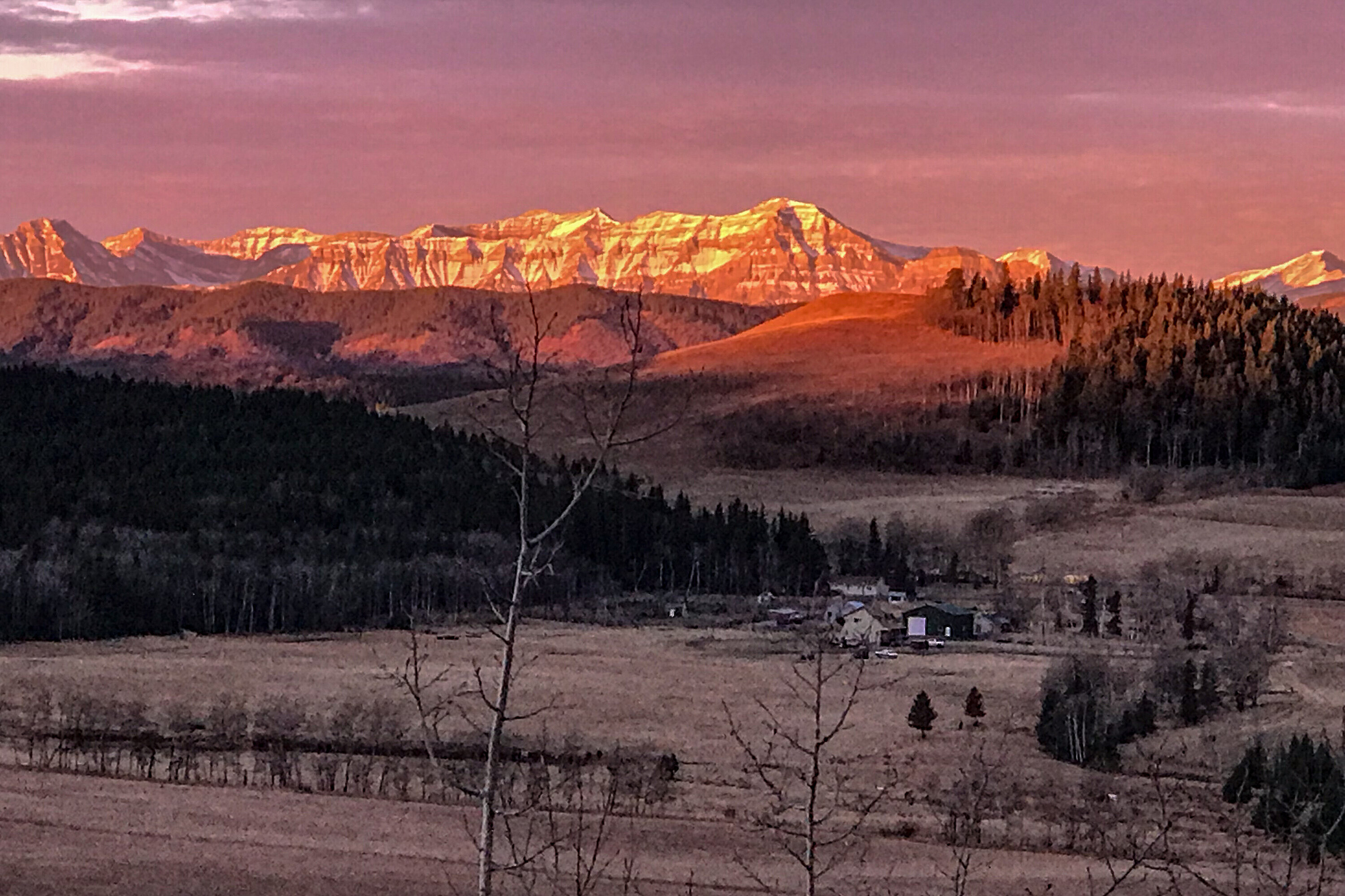  Rural Foothills County, Calgary and Foothills - 物件實景