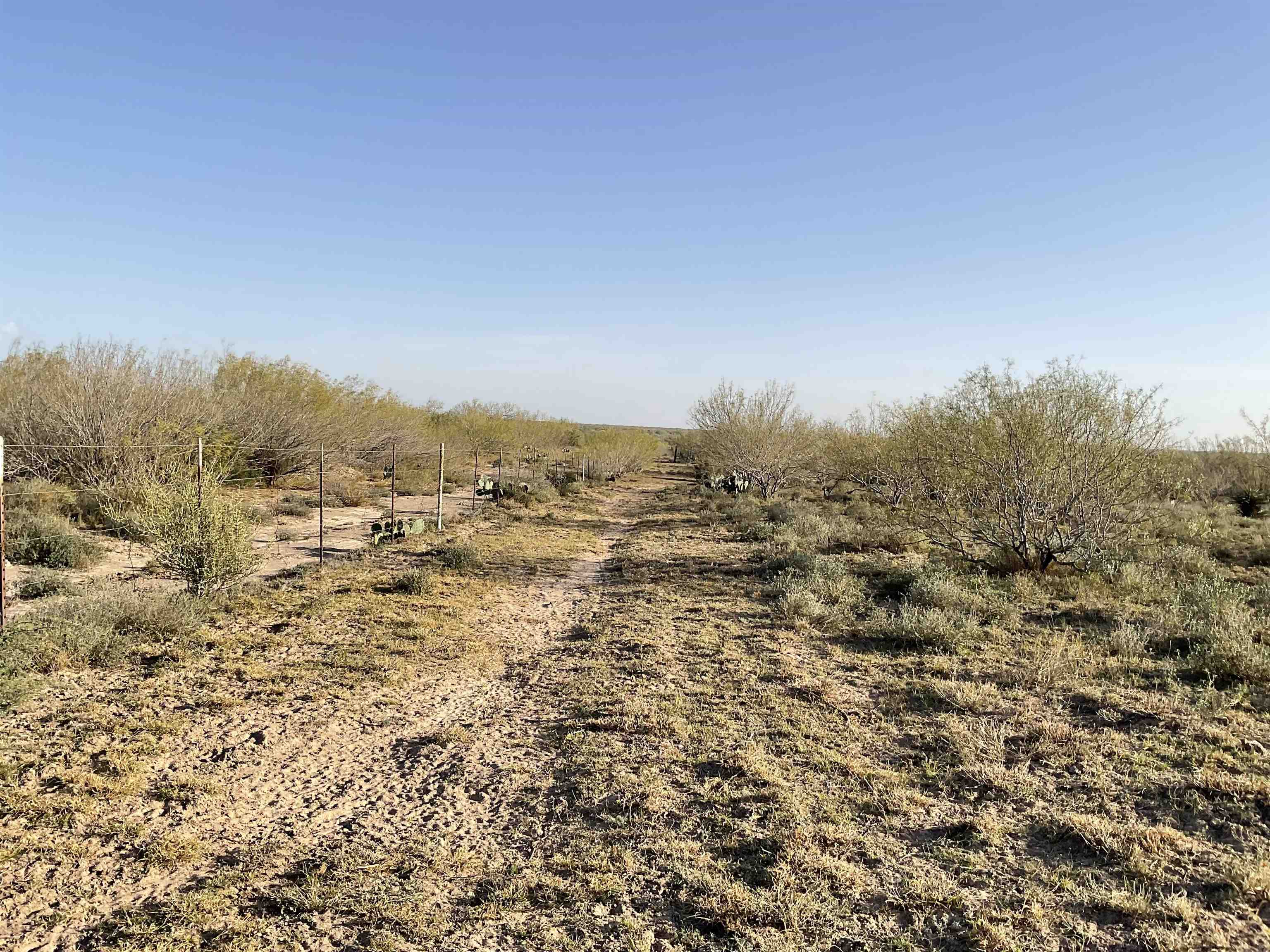 Laredo, Texas, 78046, United States, ,Land,For Sale,1877626