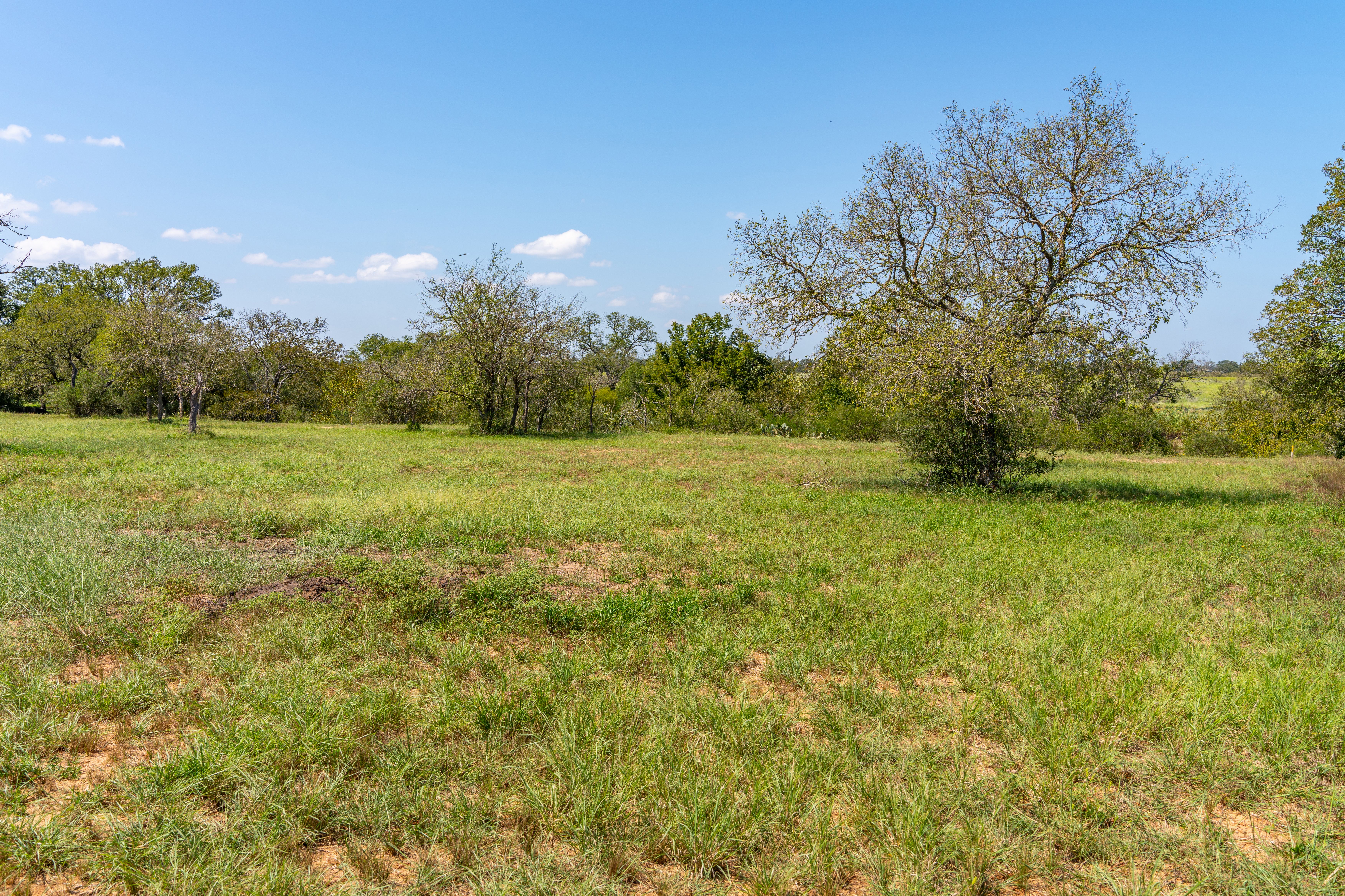  Stunning Property Along The Pedernales - 物件實景
