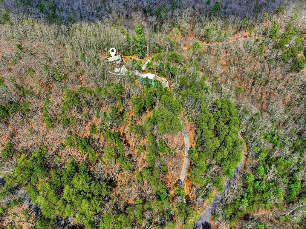 Ellijay, Georgia, 30536, United States, 2 Bedrooms Bedrooms, ,3 BathroomsBathrooms,Residential,For Sale,2034999