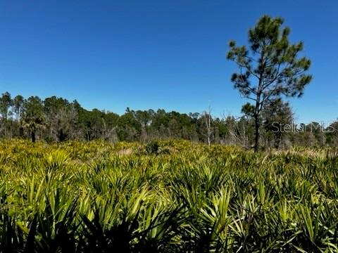 Punta Gorda, Florida, 33982, United States, ,Land,For Sale,1840783