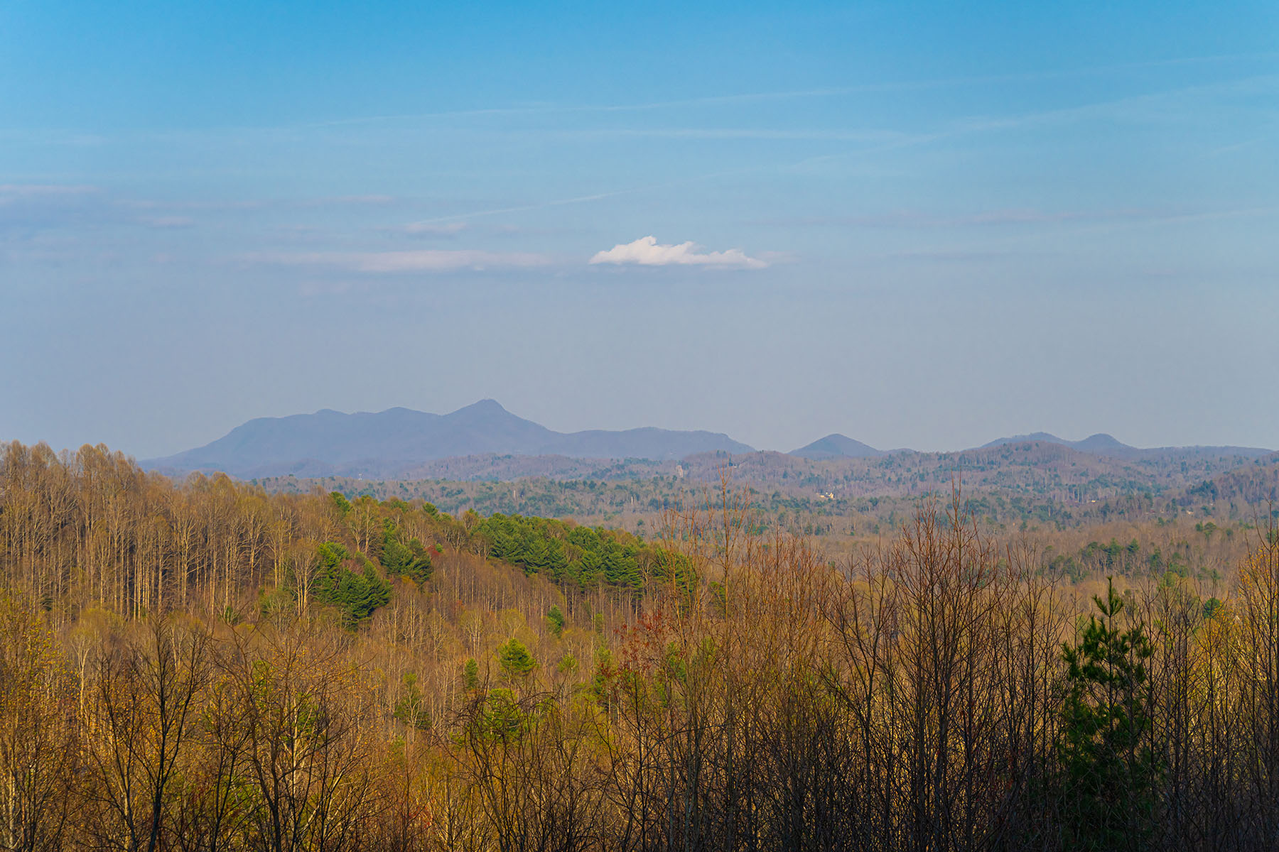  ZIRCONIA - 物件實景