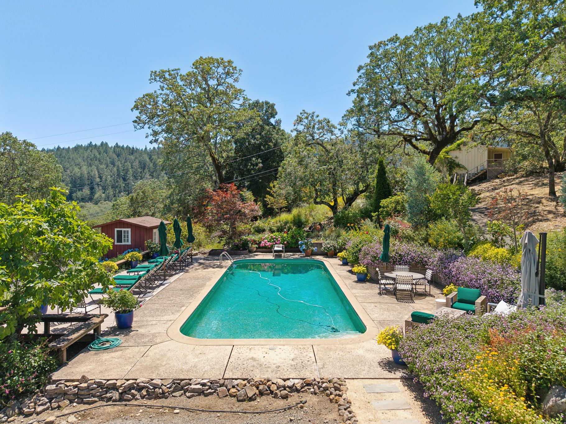  3393 St. Helena Hwy N. - 物件實景