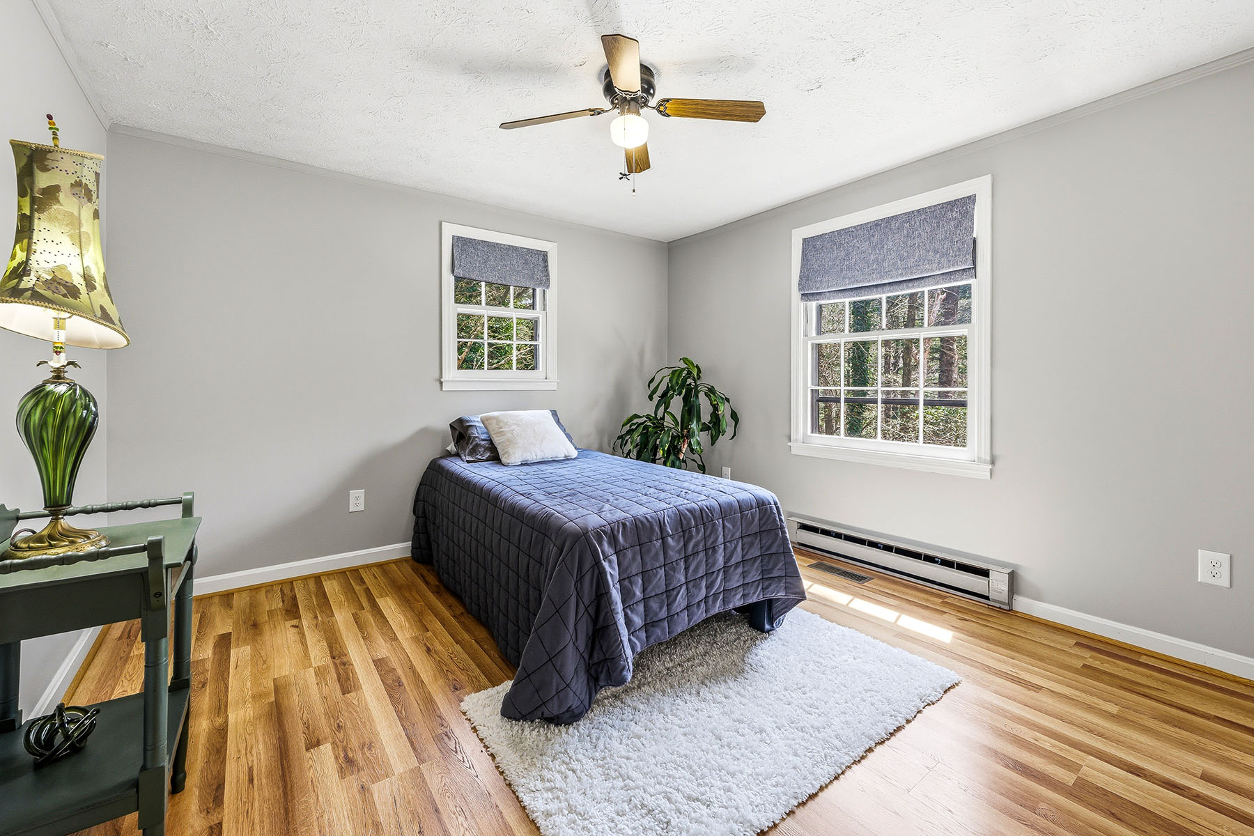  PISGAH FOREST - 物件實景