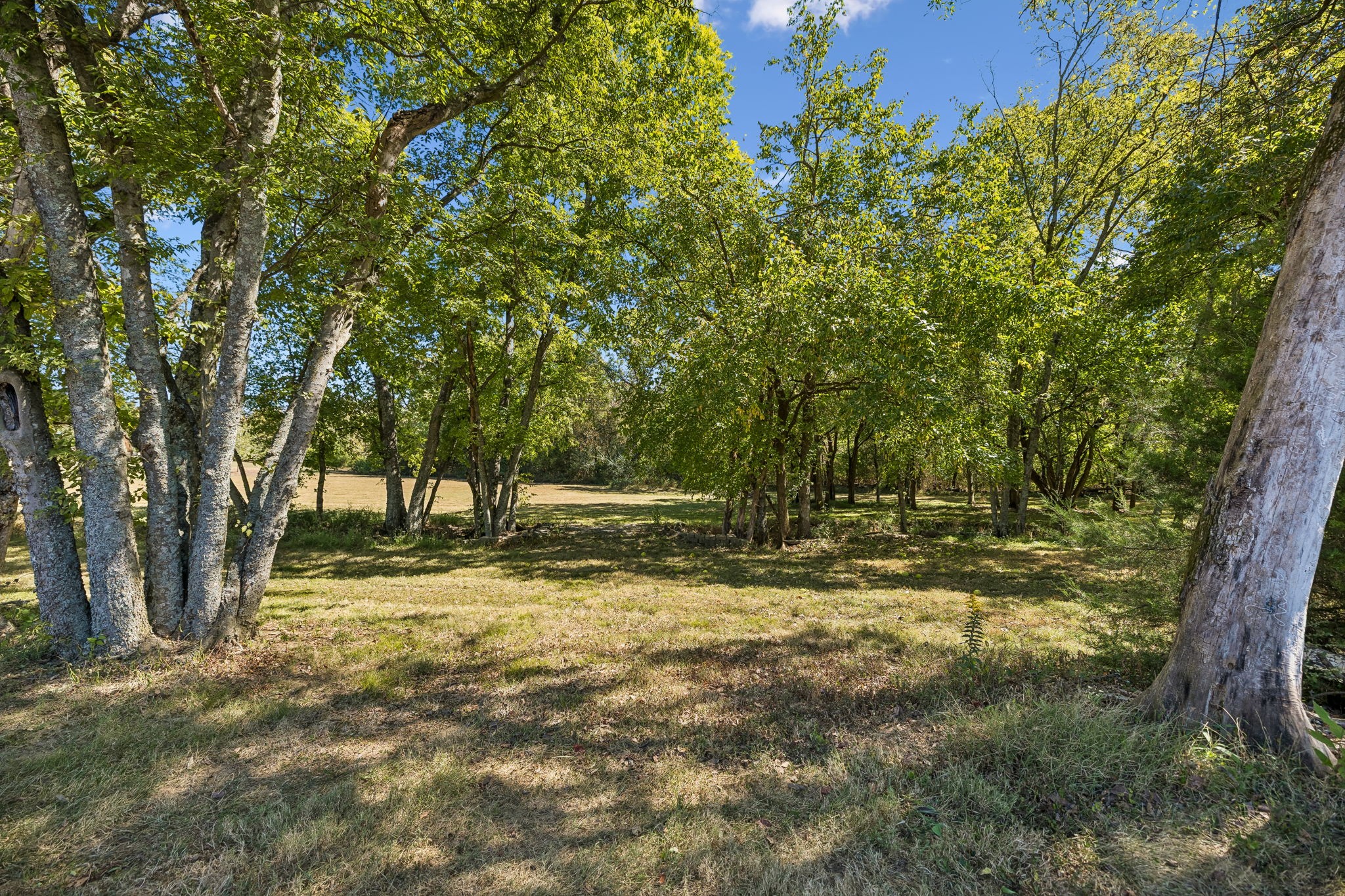  2216 Twin Peaks Ct, Spring Hill, TN, 37174 - 物件實景