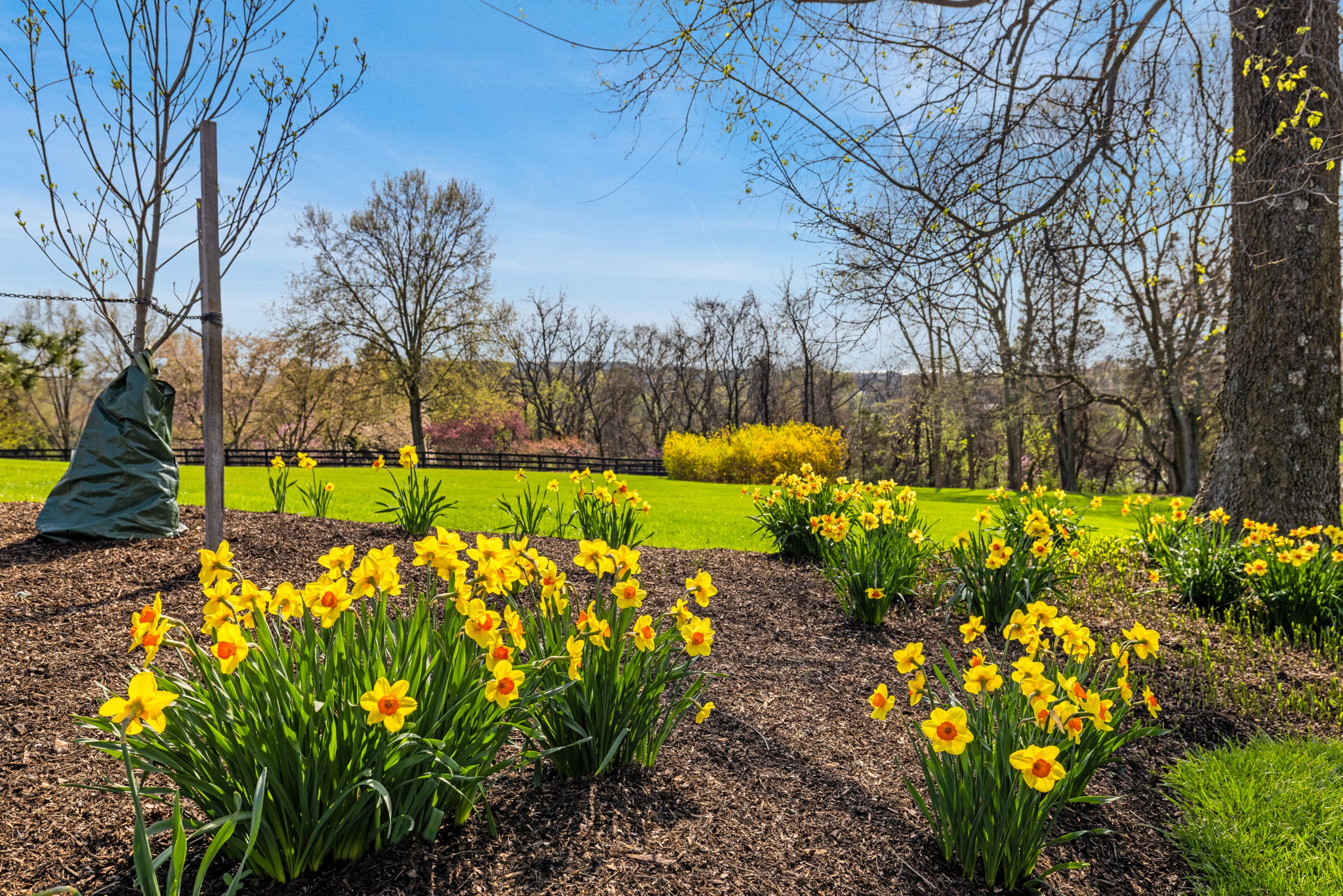  18740 Canby Road, Leesburg, VA, 20175 - 物件實景