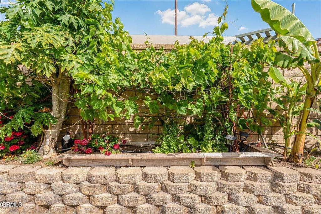 Fillmore, California, 93015, United States, 4 Bedrooms Bedrooms, ,2 BathroomsBathrooms,Residential,For Sale,2035740