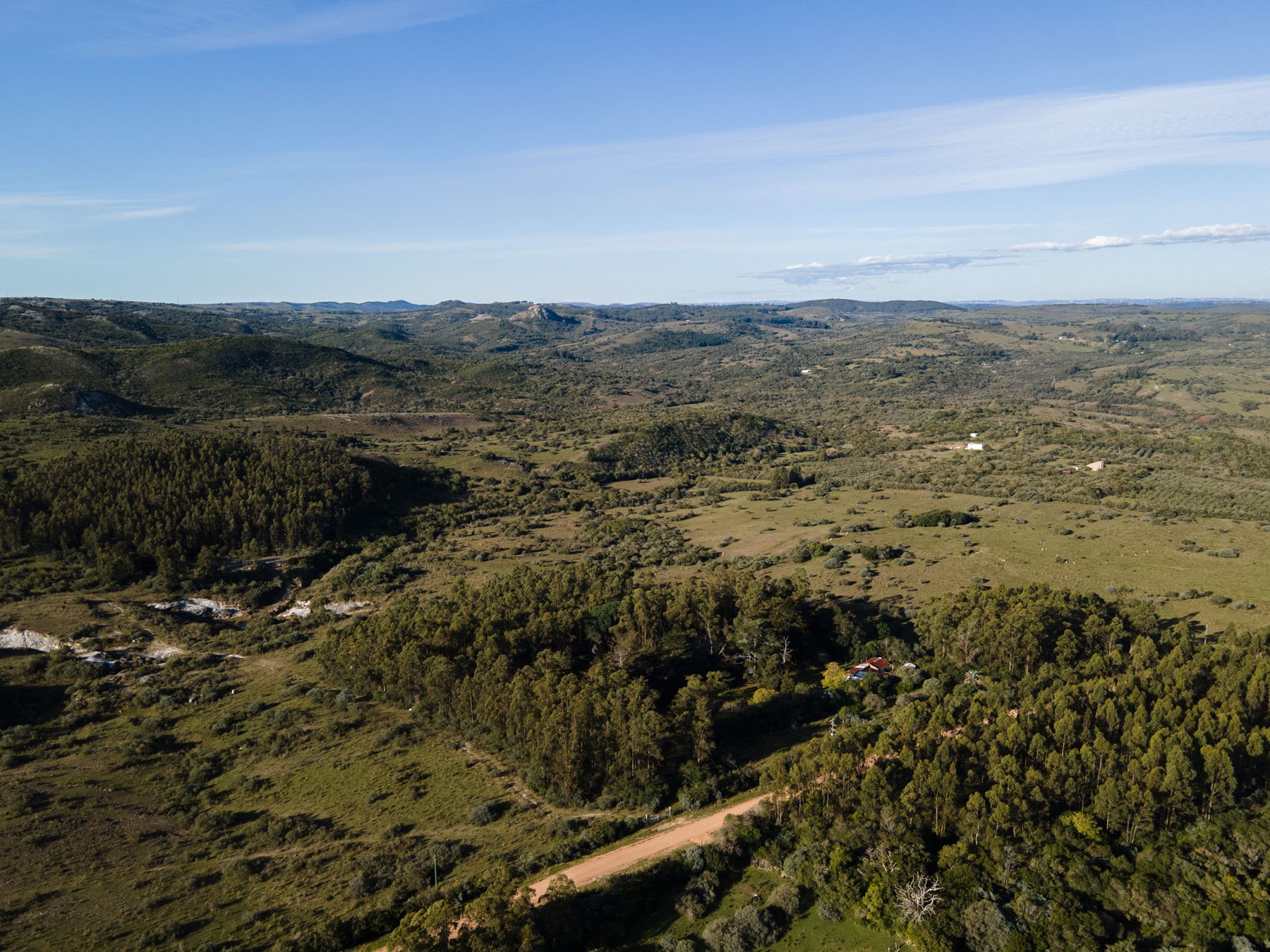  63.25 acres farm in Pueblo Edén. - 物件實景