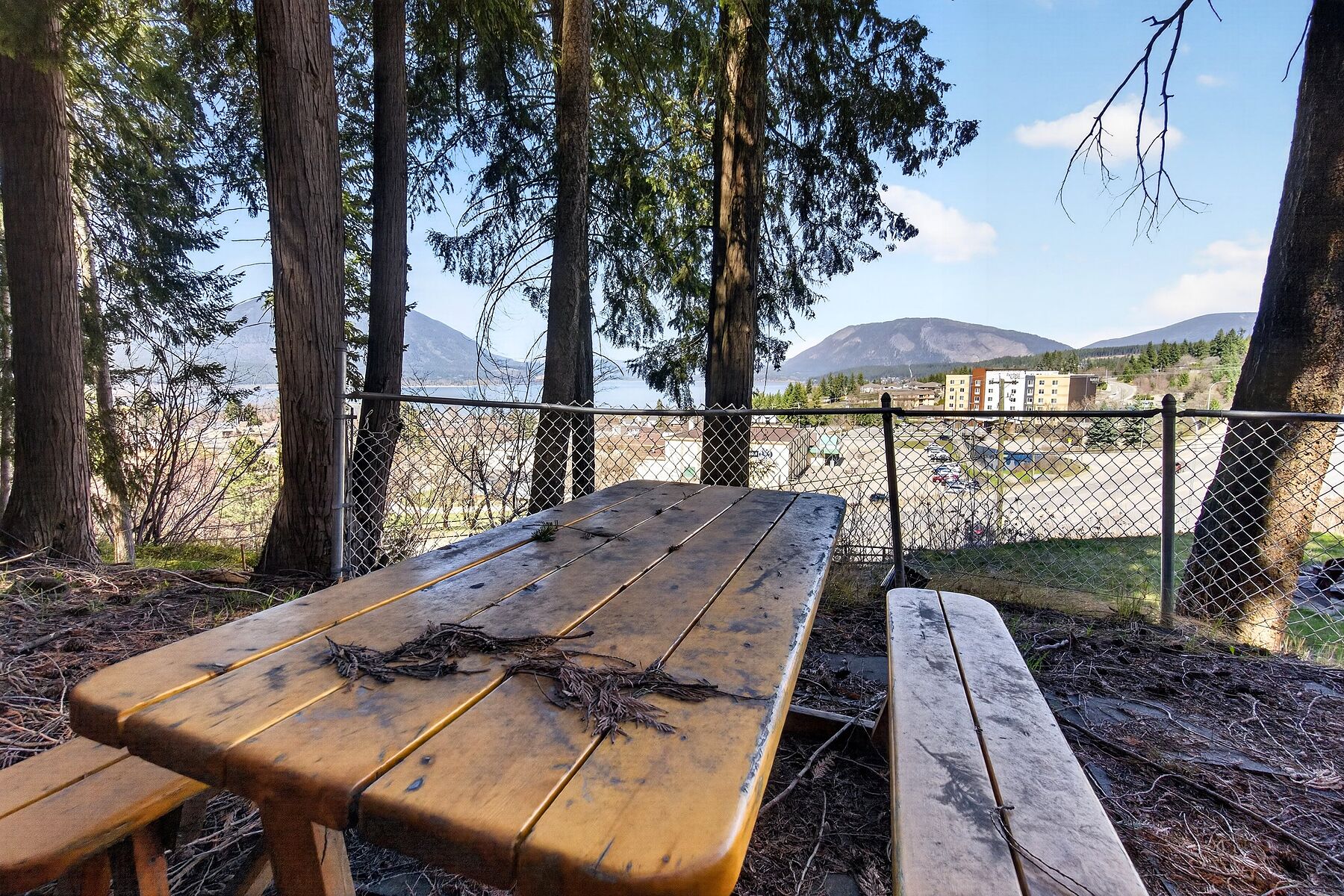  Renovated Rancher - 物件實景