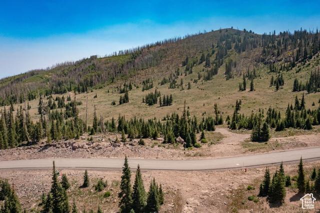Brian Head, Utah, 84719, United States, ,Residential,For Sale,1915846