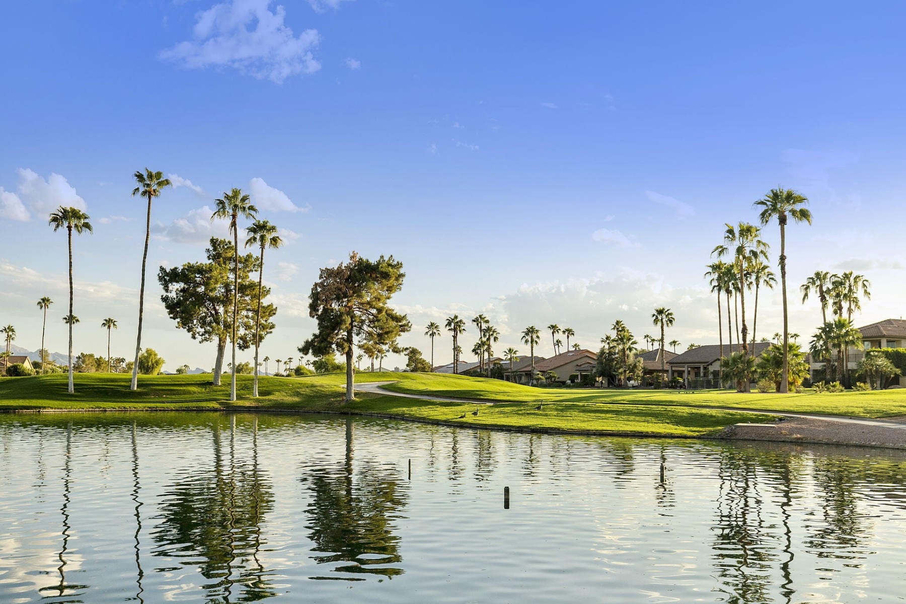  3365 N 153rd Drive¦Goodyear, AZ - 物件實景