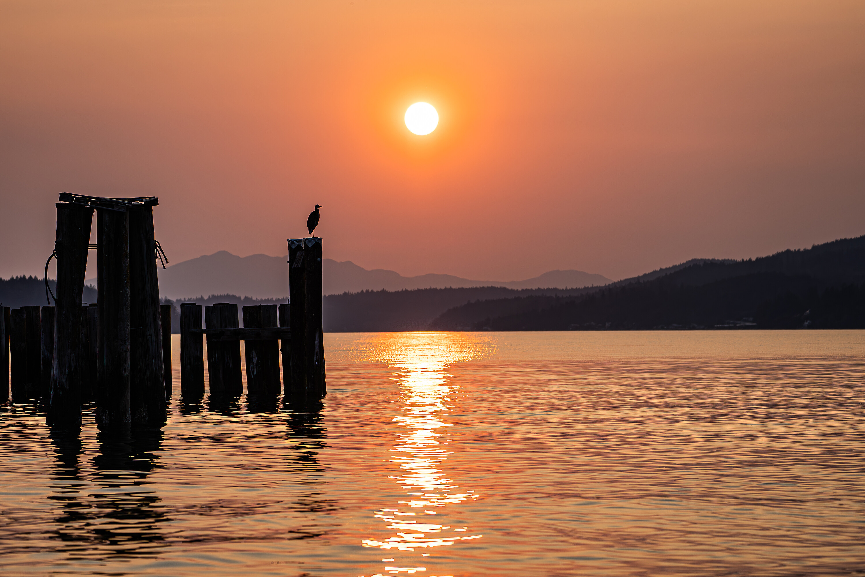  Sechelt, Sunshine Coast - 物件實景