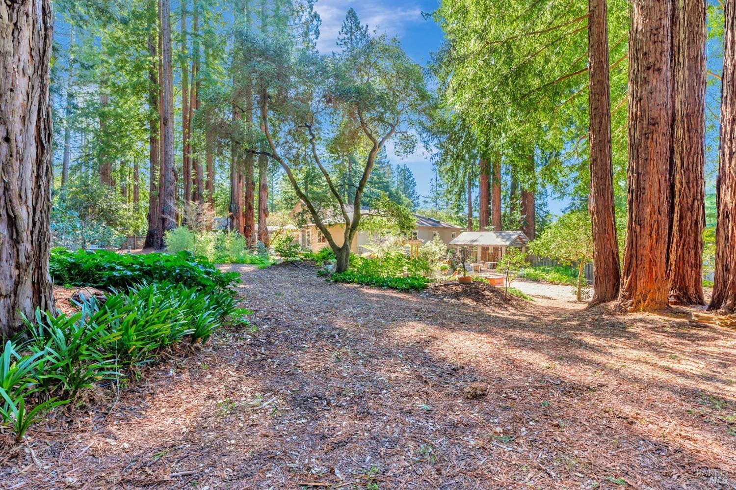 Sebastopol, California, 95472, United States, 4 Bedrooms Bedrooms, ,3 BathroomsBathrooms,Residential,For Sale,1989317