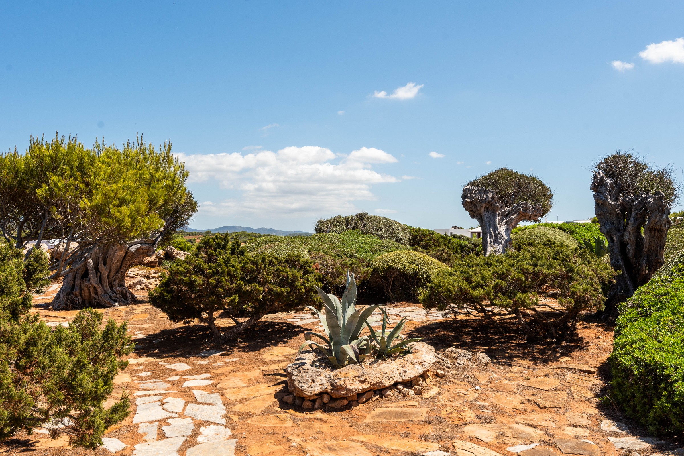  Villa with pool, garden, and sea views on the Costa de Cala Morell - 物件實景