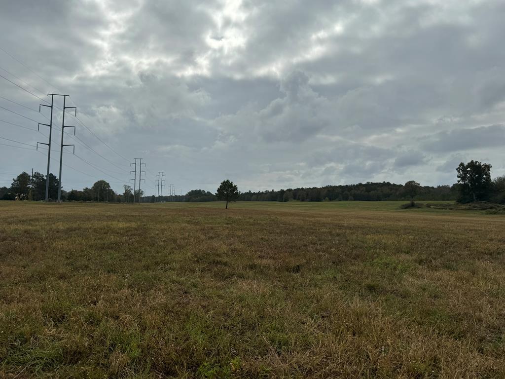 CHATSWORTH, Georgia, 30705, United States, ,Residential,For Sale,1986542