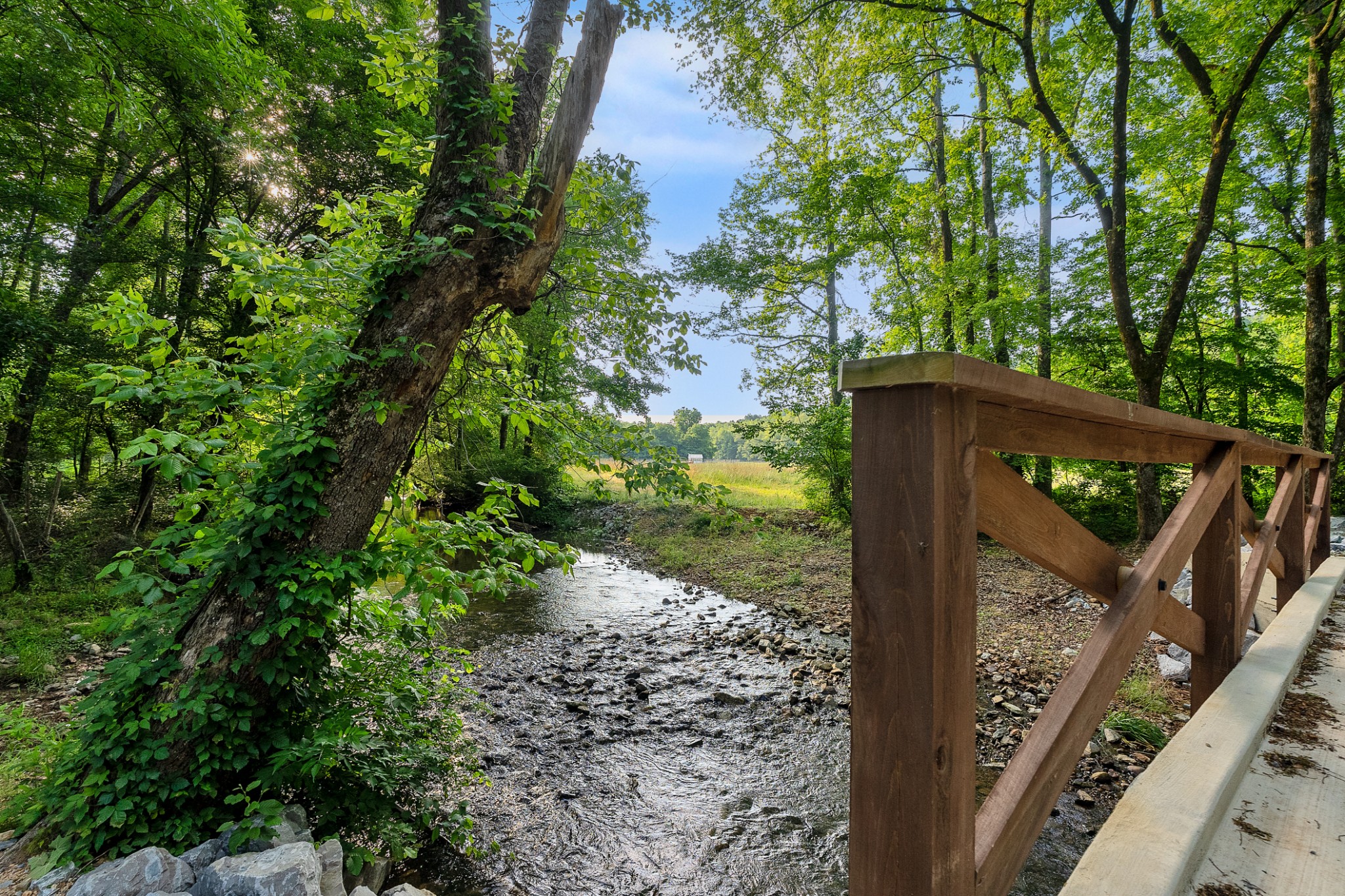  2133 Bear Creek Rd, Collinwood, TN, 38450 - 物件實景