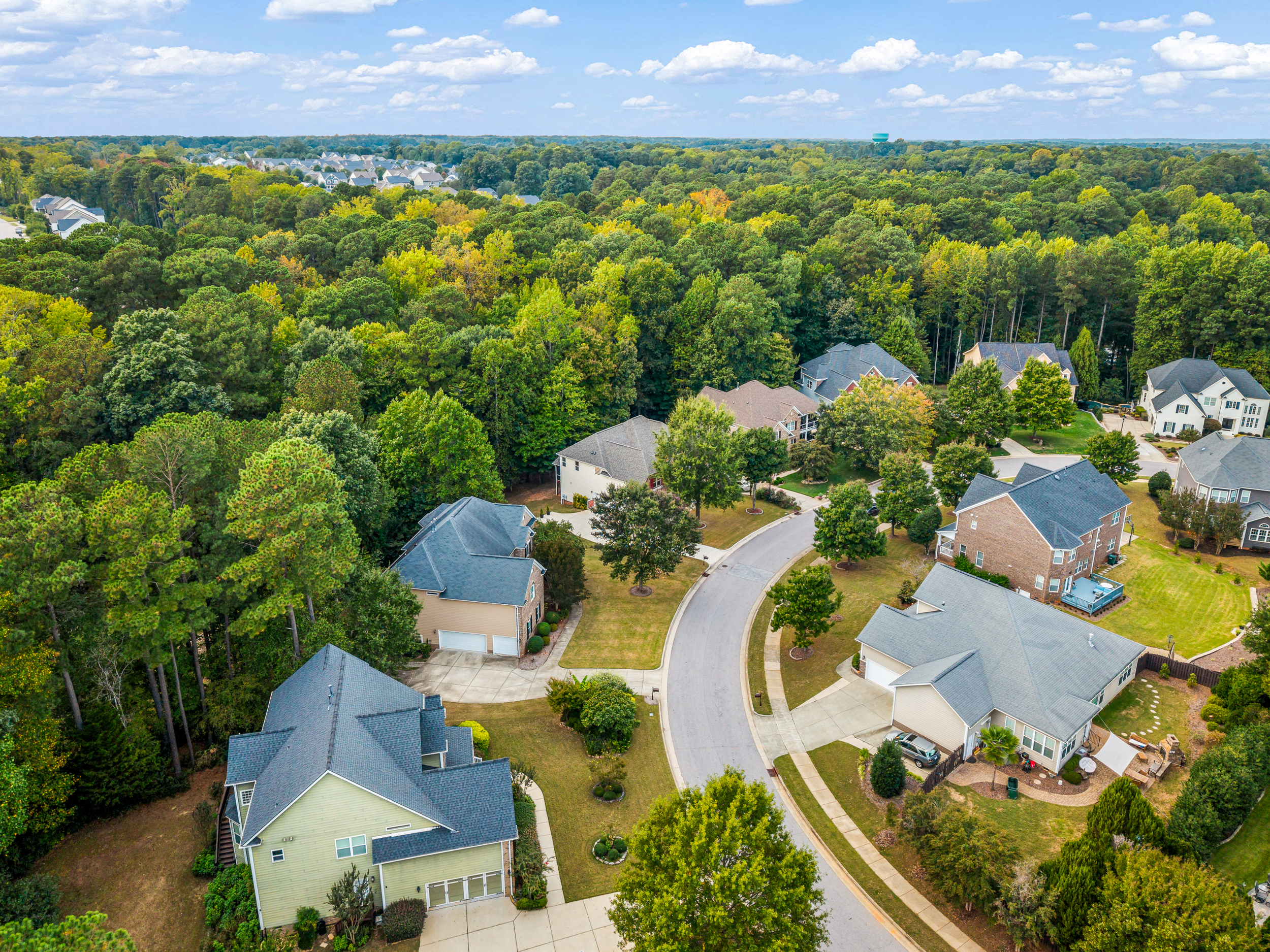  110 Vintage Hill Circle, Apex, NC 27539 - 物件實景