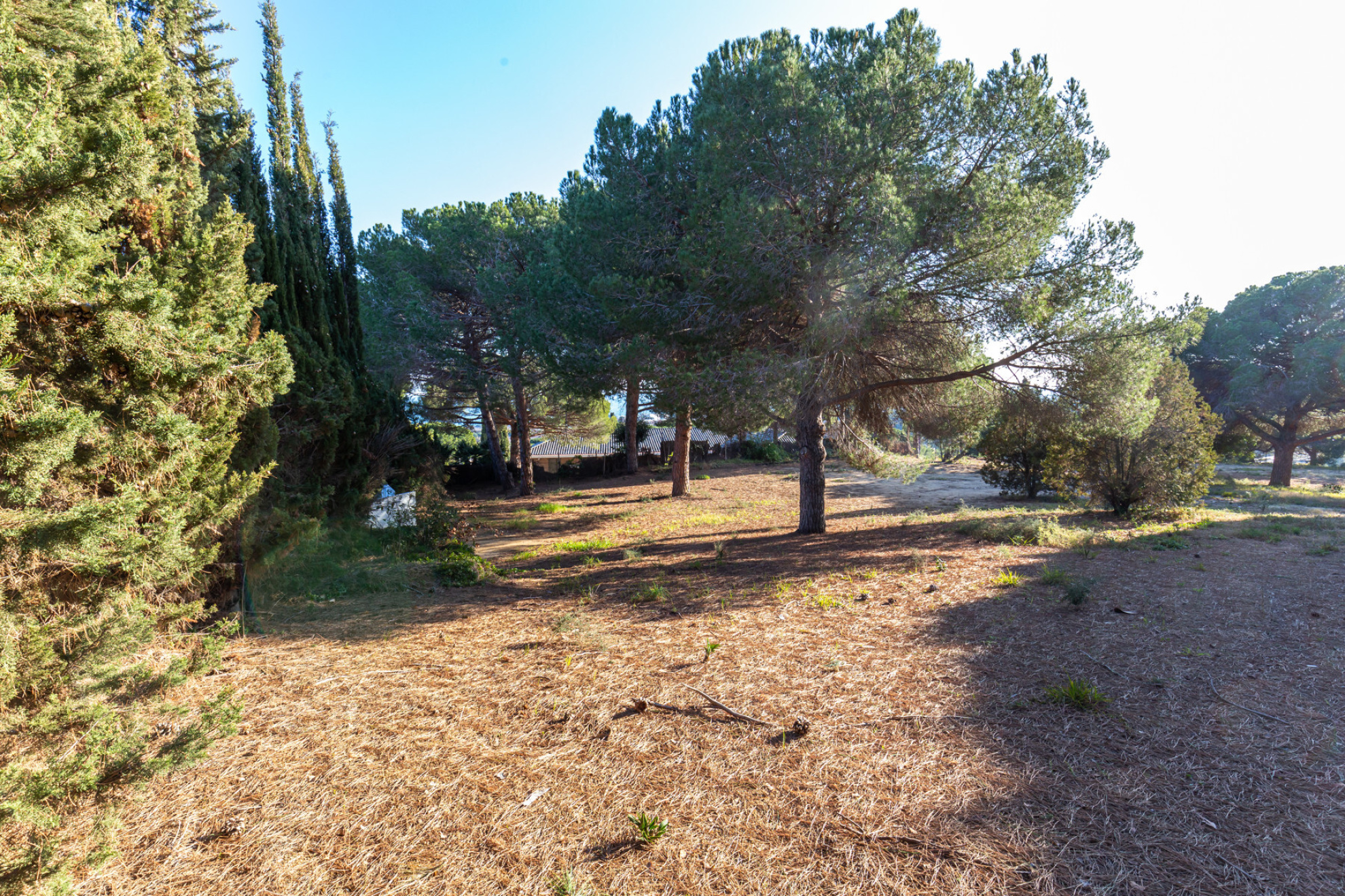  Sublime Project with ?Ready to build? license in Llavaneres - Costa BCN - 物件實景